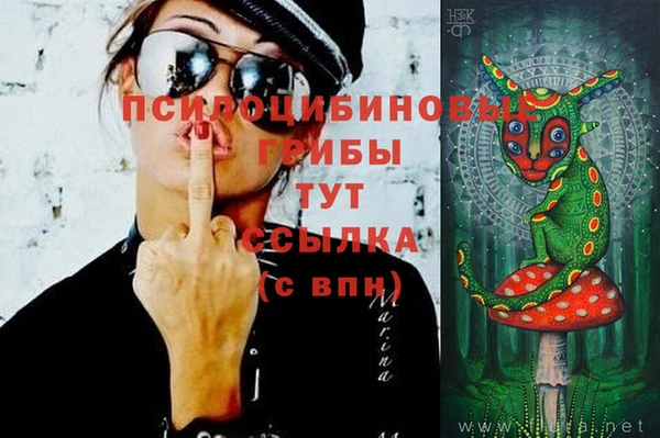 ГАЛЛЮЦИНОГЕННЫЕ ГРИБЫ Белоозёрский
