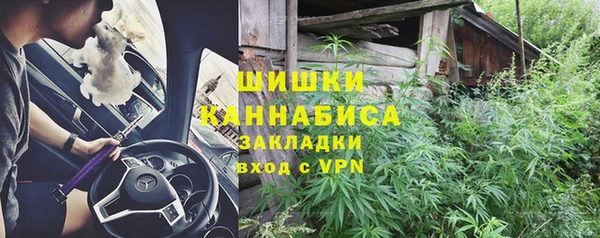 ГАЛЛЮЦИНОГЕННЫЕ ГРИБЫ Белоозёрский