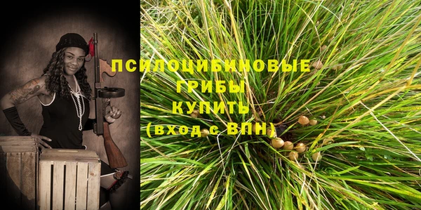 трава Белокуриха