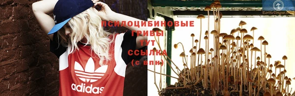 ГАЛЛЮЦИНОГЕННЫЕ ГРИБЫ Белоозёрский