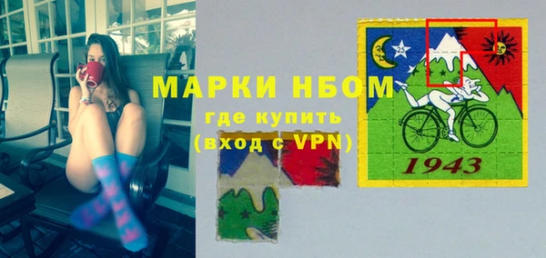 трава Белокуриха