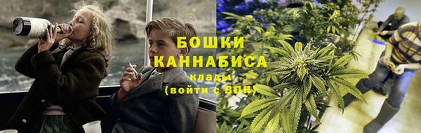 трава Белокуриха