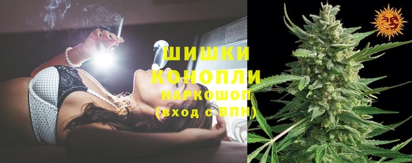 трава Белокуриха
